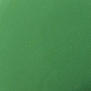 mid green paint swatch