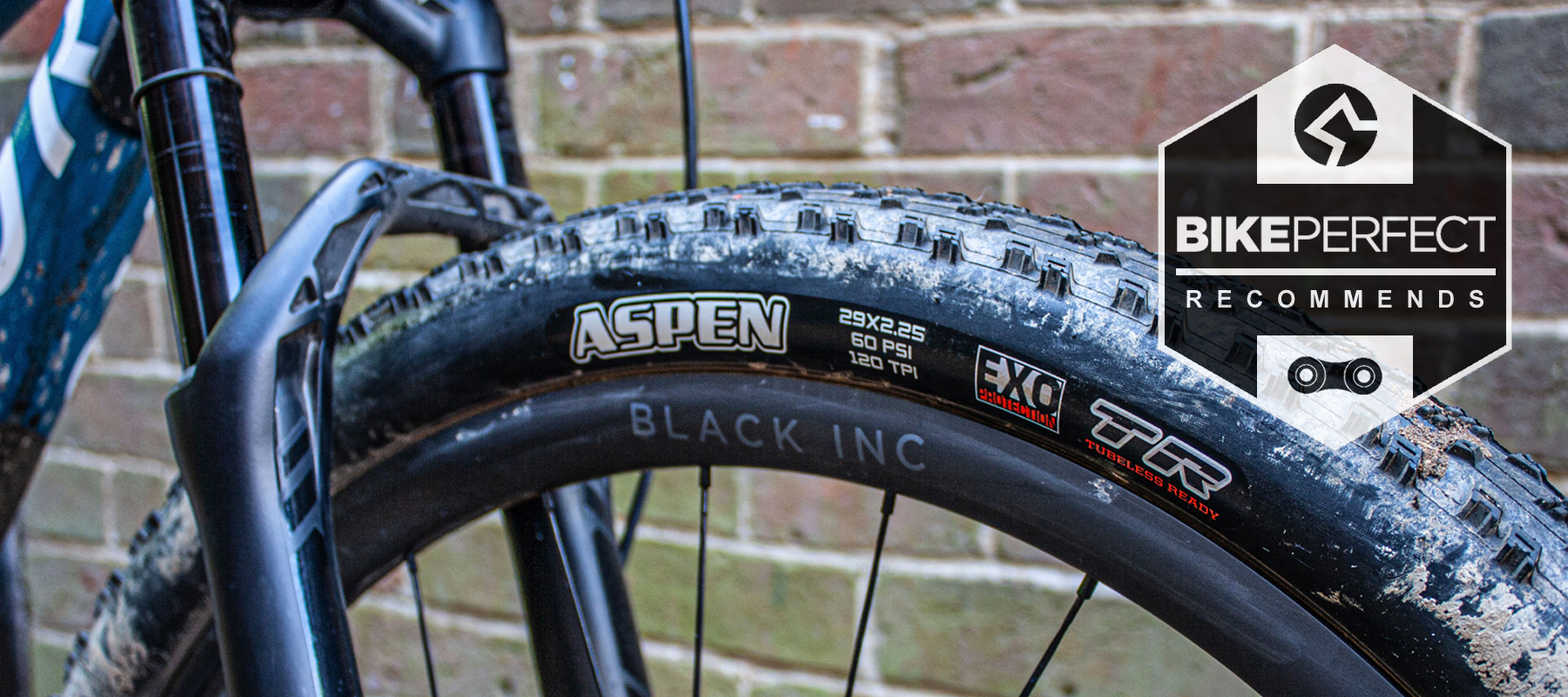 Maxxis aspen 29er new arrivals