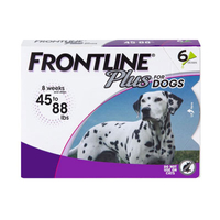 Frontline Plus Flea &amp; Tick Spot Treatment 6-dose bundle |