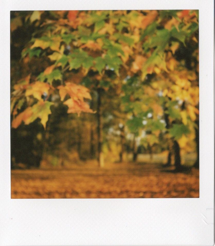 Image samples from the Fujifilm Instax Square 2