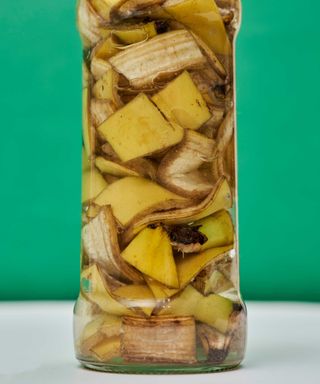 chopped banana peel in jar with green background