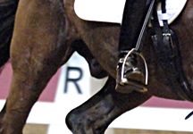 olympia11.jpg