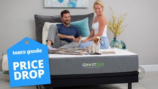 A couple and their spaniel puppy sit on the GhostBed Original Mattress