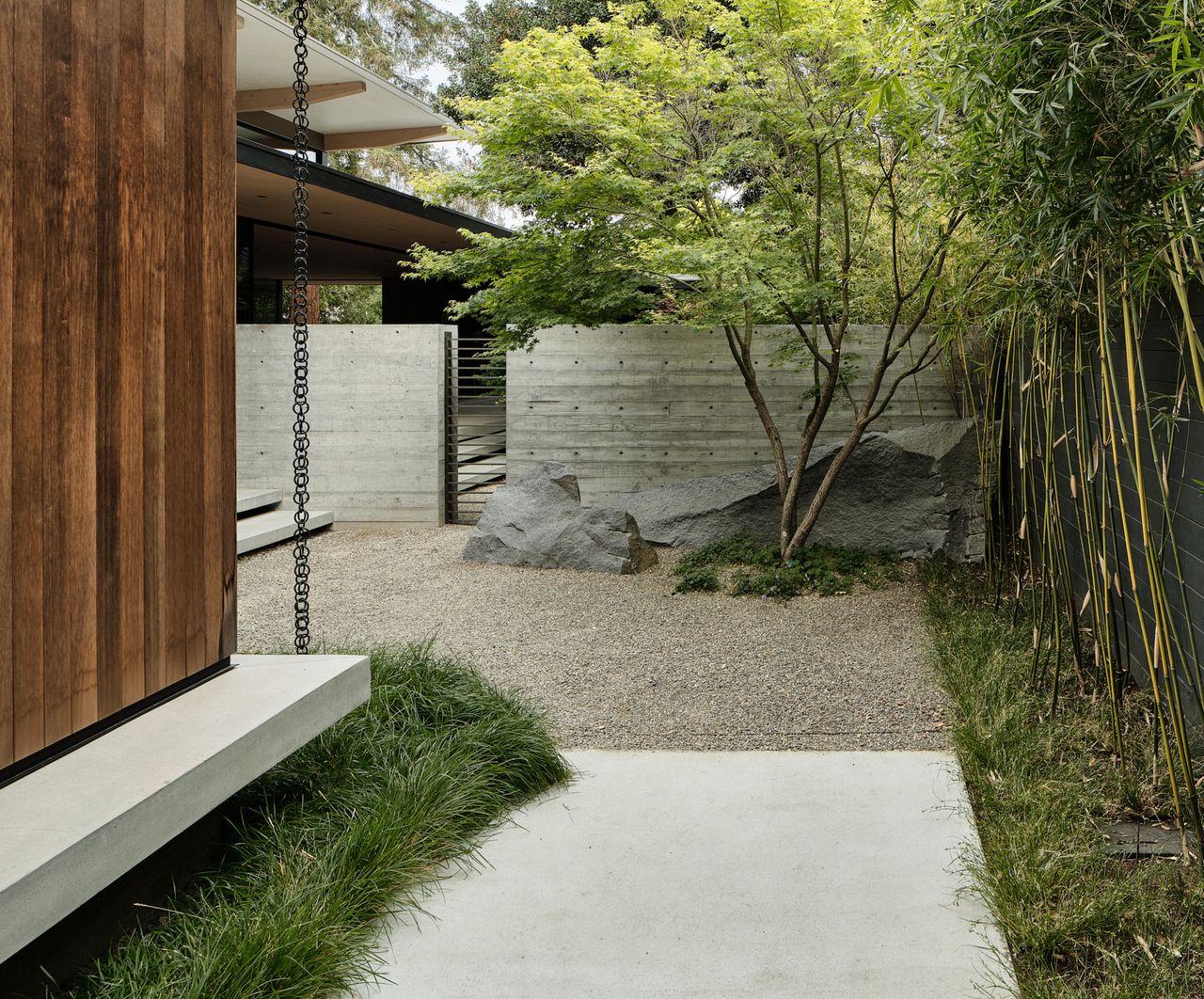 A bamboo fence along the perimeter of a backyard