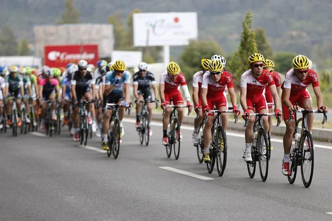 Team Cofidis