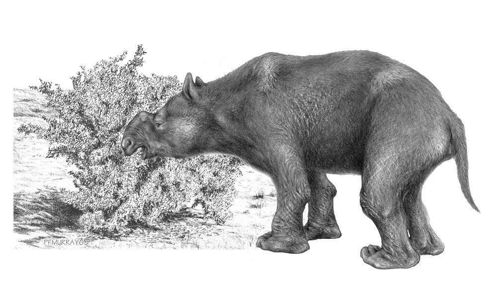 A line drawing of a giant wombat muching on a shrub.