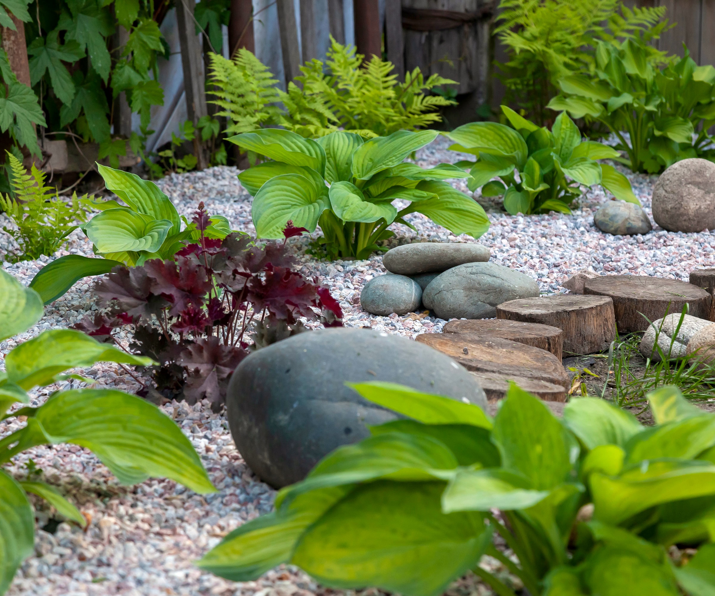 Japanese theme in garden with rocks and gravel