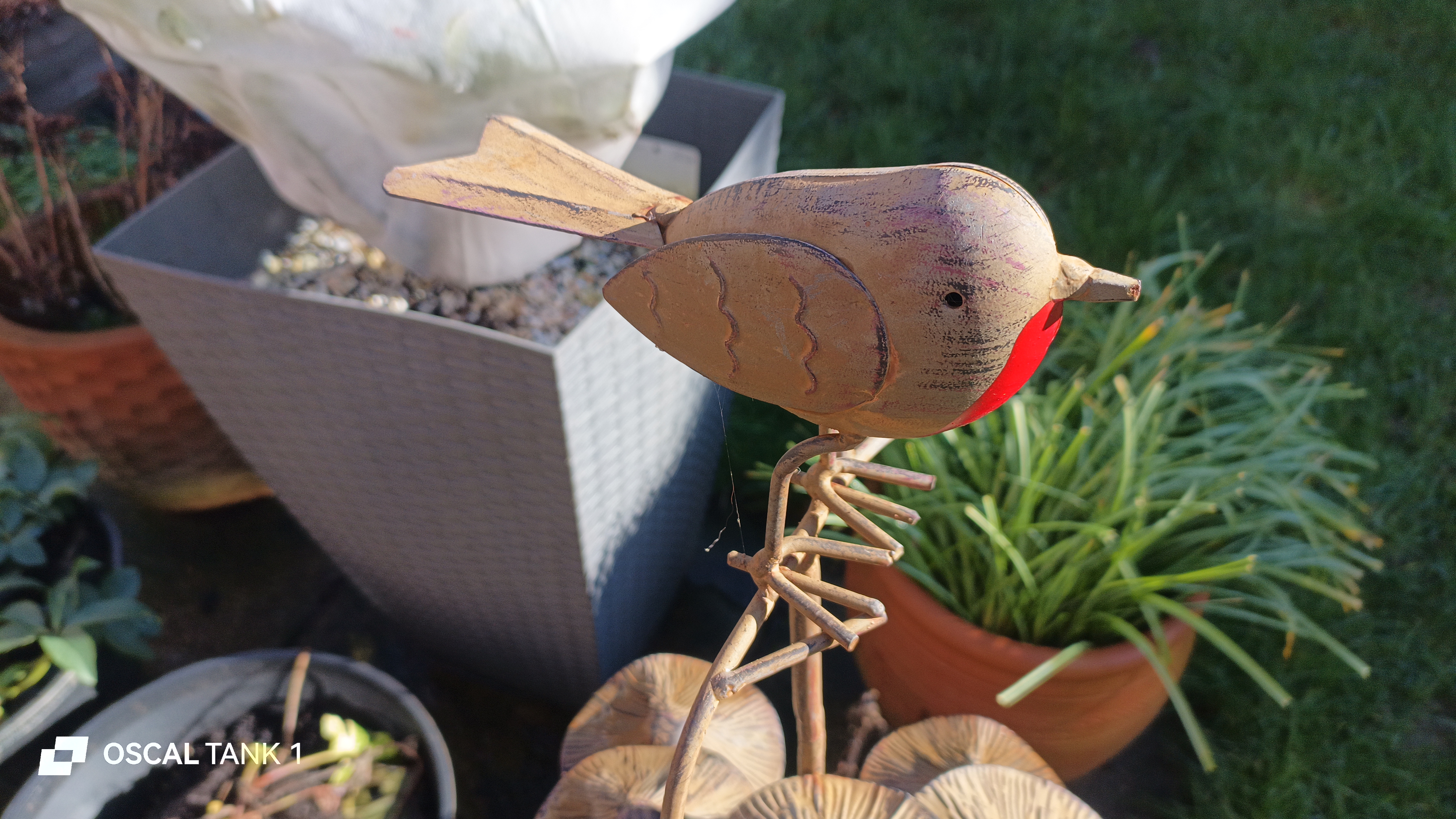 Blackview Oscal TANK 1 example pictures