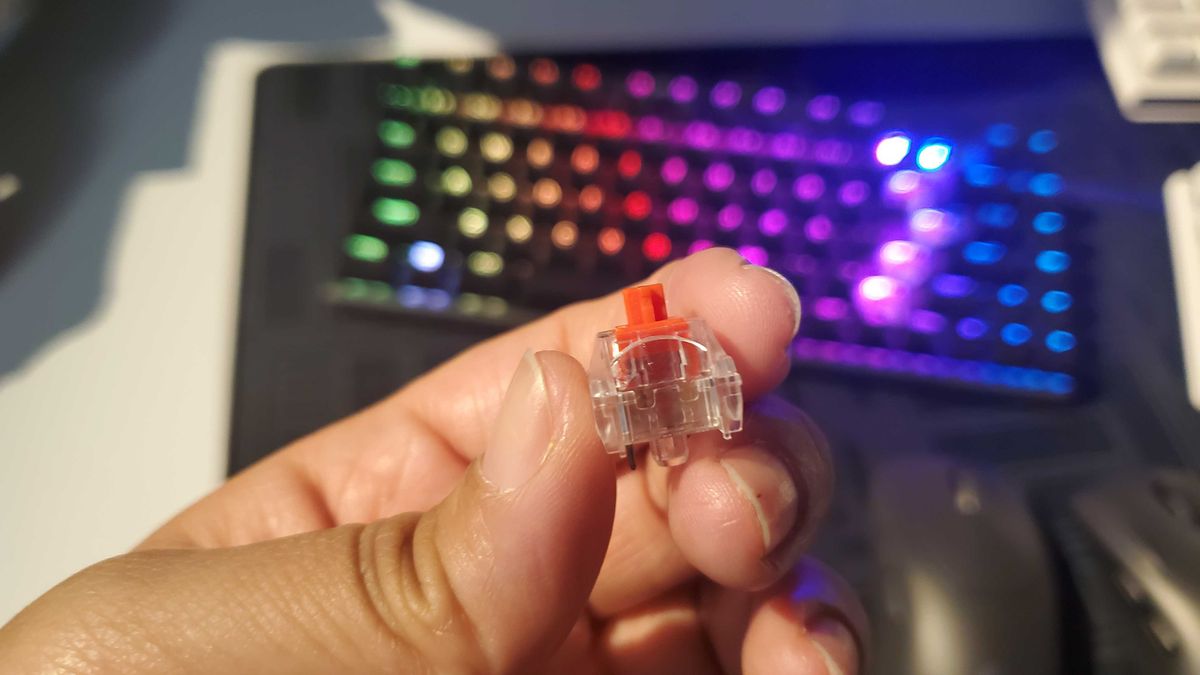switches