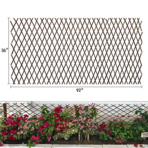 Expandable Garden Trellis Plant Support Willow Lattice Fence Panel for Climbing Plants Vine Ivy Rose Cucumbers Clematis 36x92 Inch