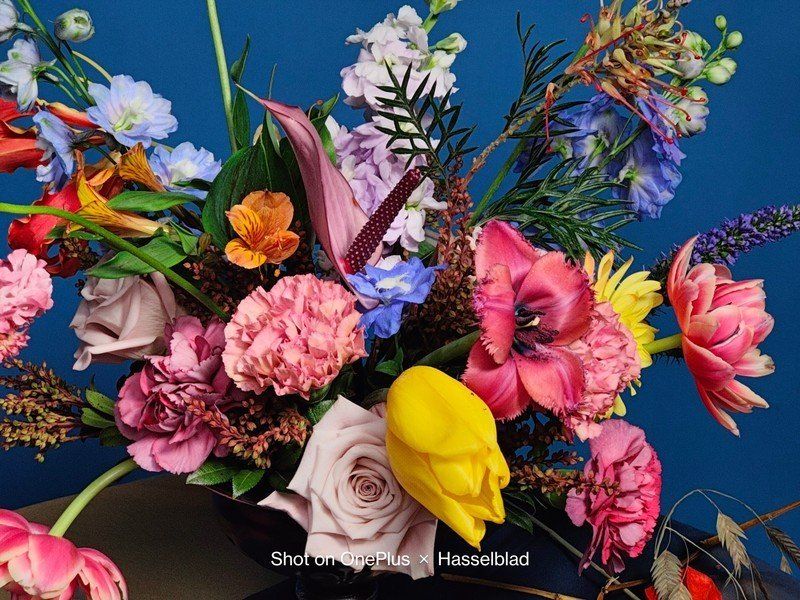 Billion Color Calibration Flower