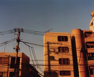 Buildings at sunset, from SIGNS, by Lucie Rox
