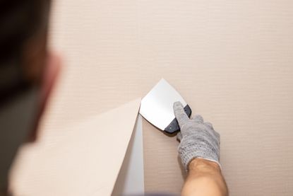 Removing wallpaper