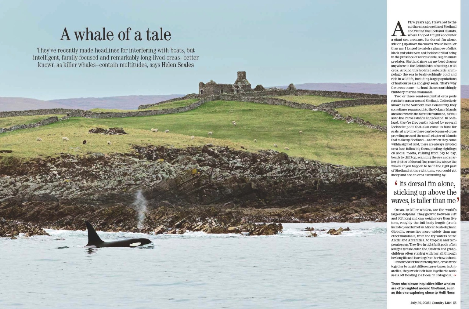 Magazine spreads 30 July 2025