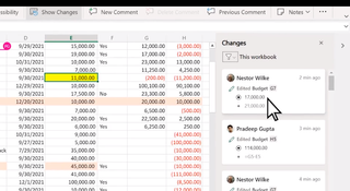 Microsoft Excel Show Changes feature