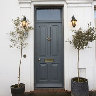 dark grey front door with white wall and plants on pots