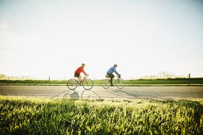 two cyclists on road bikes in a sunny scene