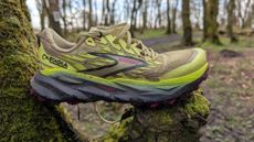 Yellow Brooks Cascadia 19 trail running shoe in the forest