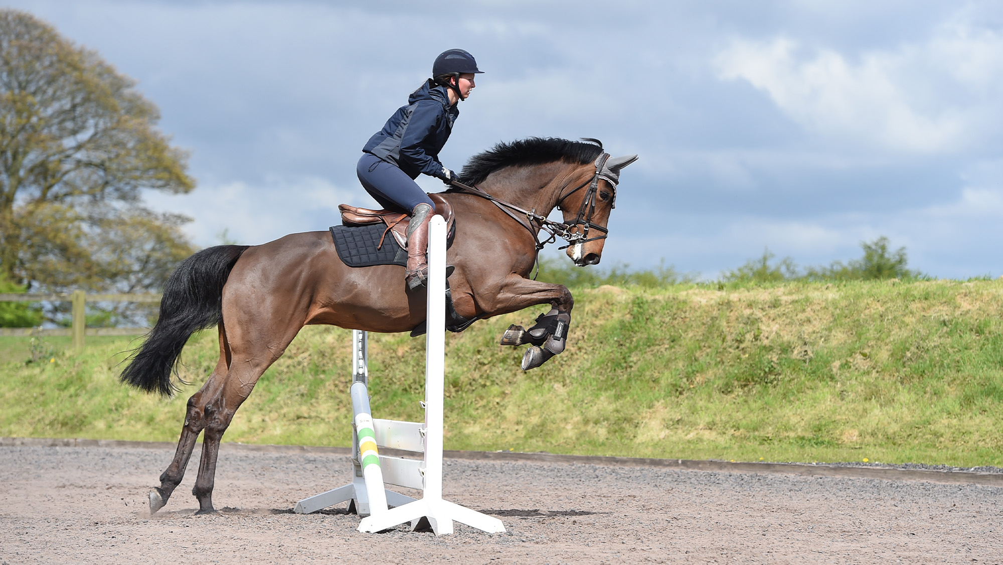 Woman jumping horse over small fence made of two planks with a half cross pole to encourage landing on correct lead leg