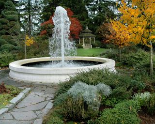 large water fountain in garden with yellow tree