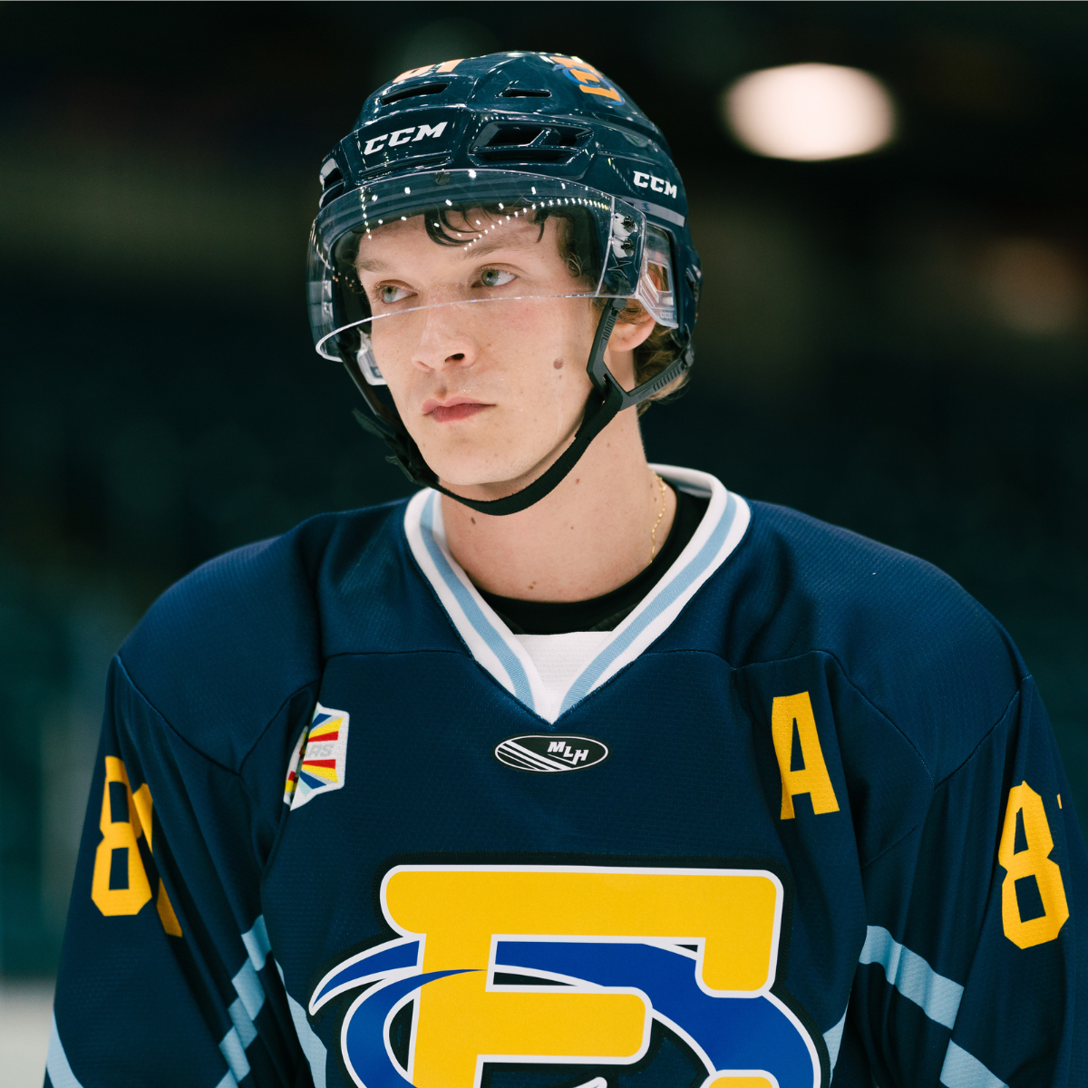 The Most Popular Recent Book-To-Screen Adaptations