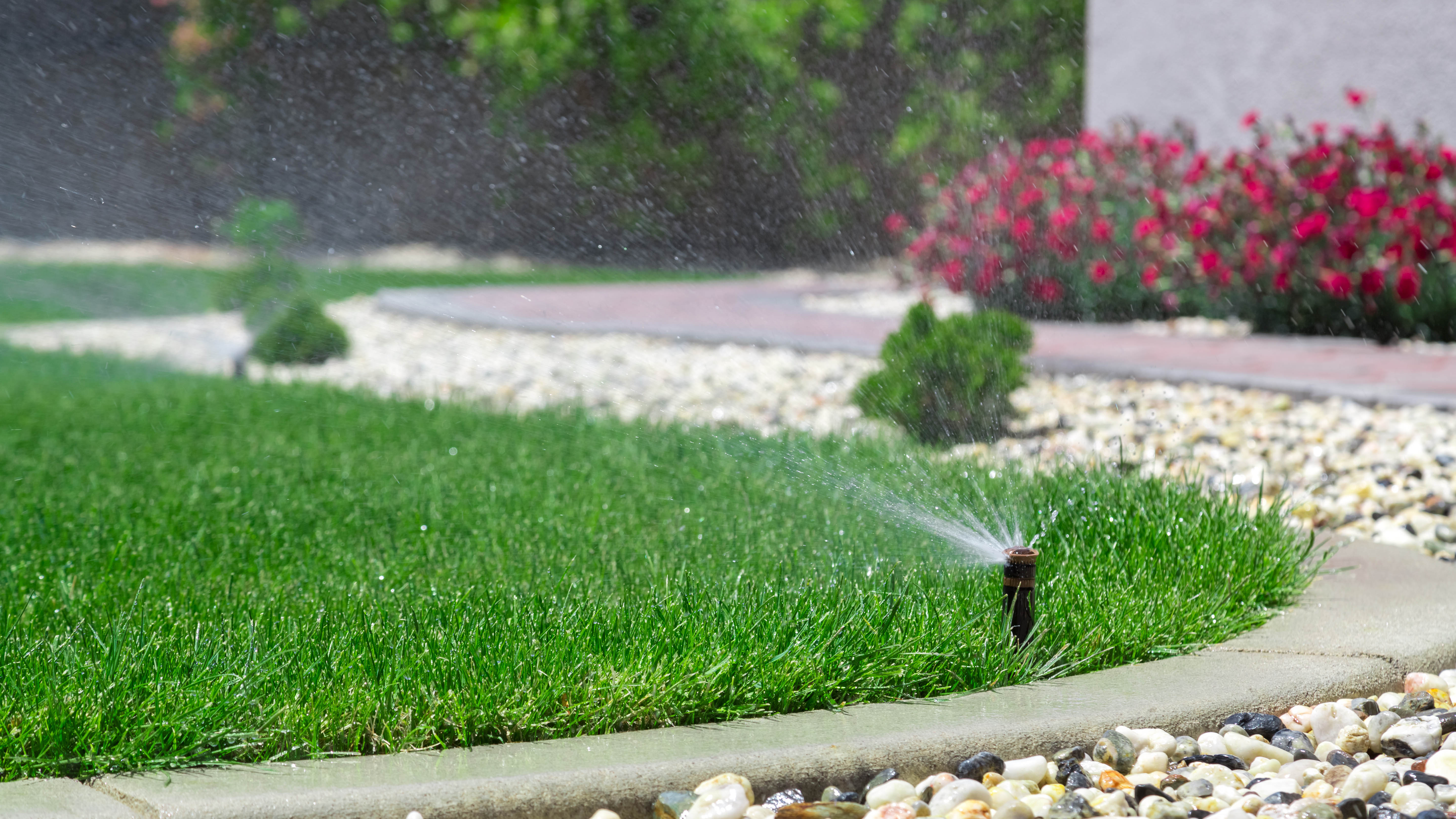 A sprinkler system running at the edge of a lawn