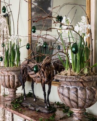 Pair of urns filled with paperwhites