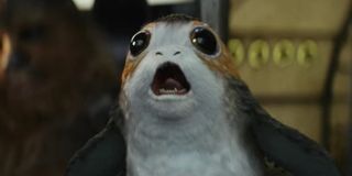 A Porg in The Last Jedi