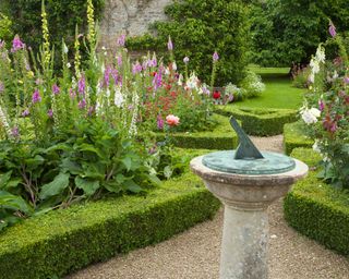 formal garden with small hedges