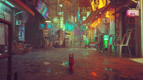 The cat walking down a neon street