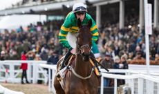 Spillanes Tower (ridden by Jack Kennedy) heading to the start at Cheltenham. He is due to line up in the Cheltenham Gold Cup