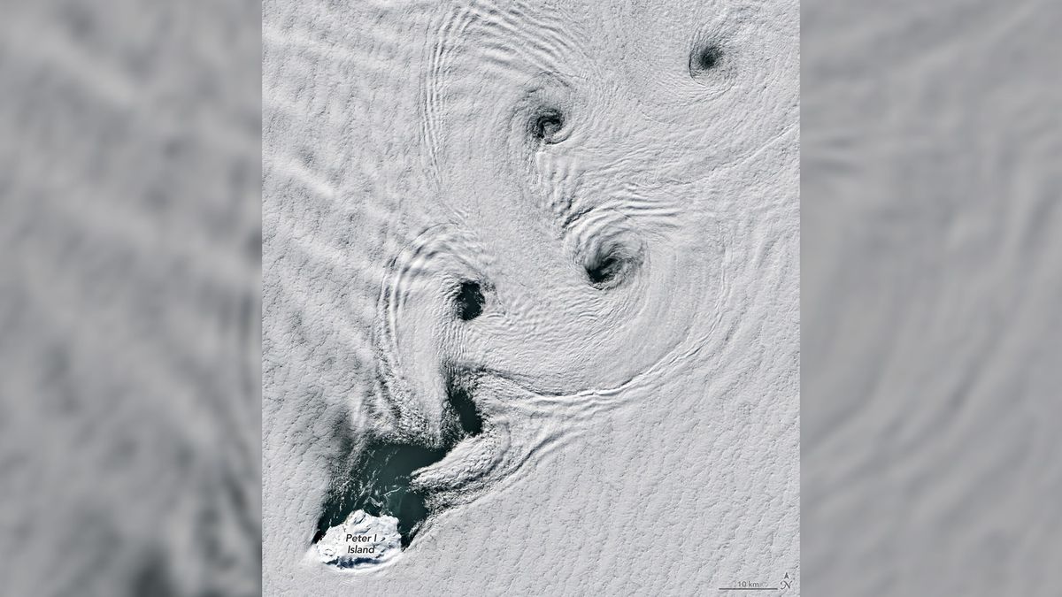Post image 3