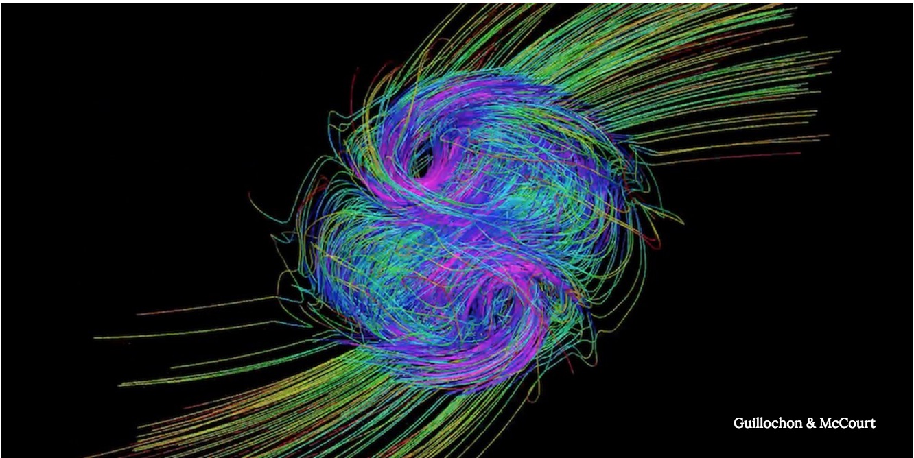 Supermassive black hole magnetism