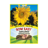 Sunflower seeds, Walmart 