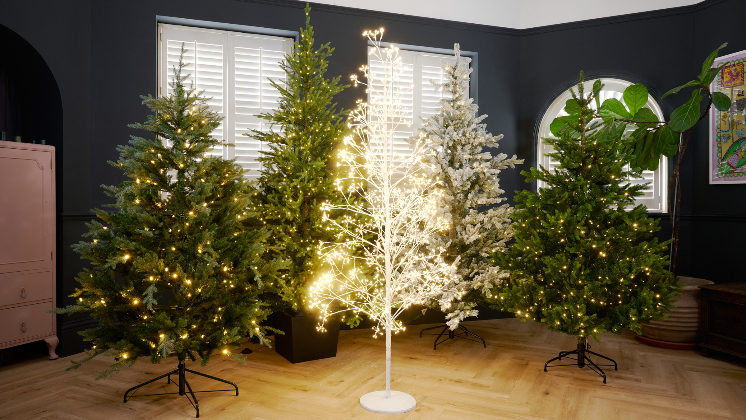 Five artificial Christmas trees from Habitat, John Lewis, Next, Cox &amp; Cox and Neptune set up in a black-painted living room