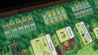 Photographs of the Agricola board game in play