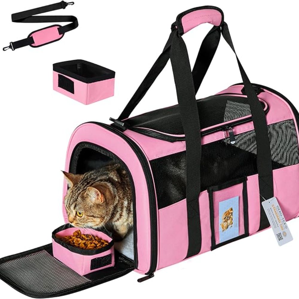 how to get injured cat into carrier