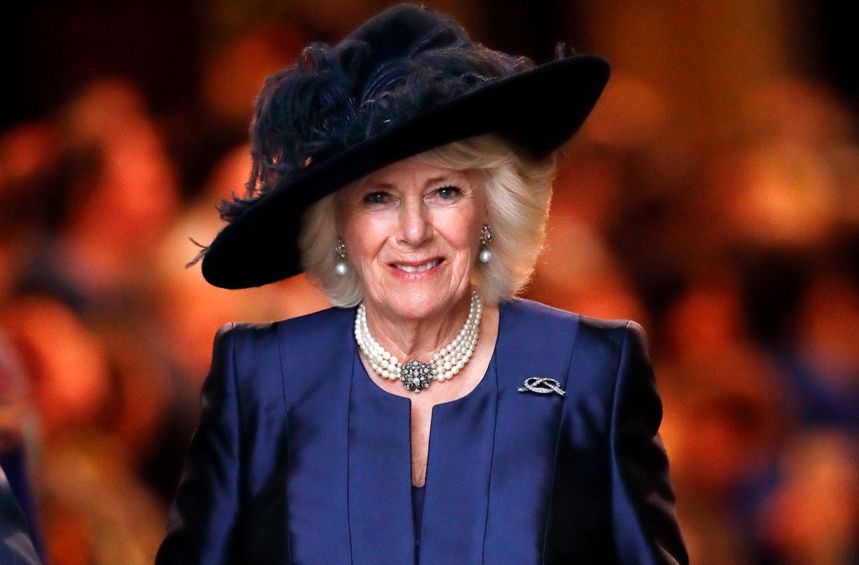 camilla duchess cornwall bookshelf glimpse