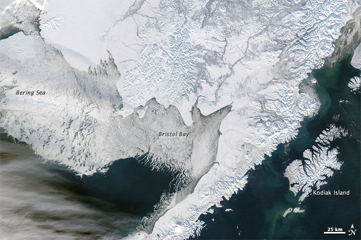 Bering Sea, sea ice, arctic