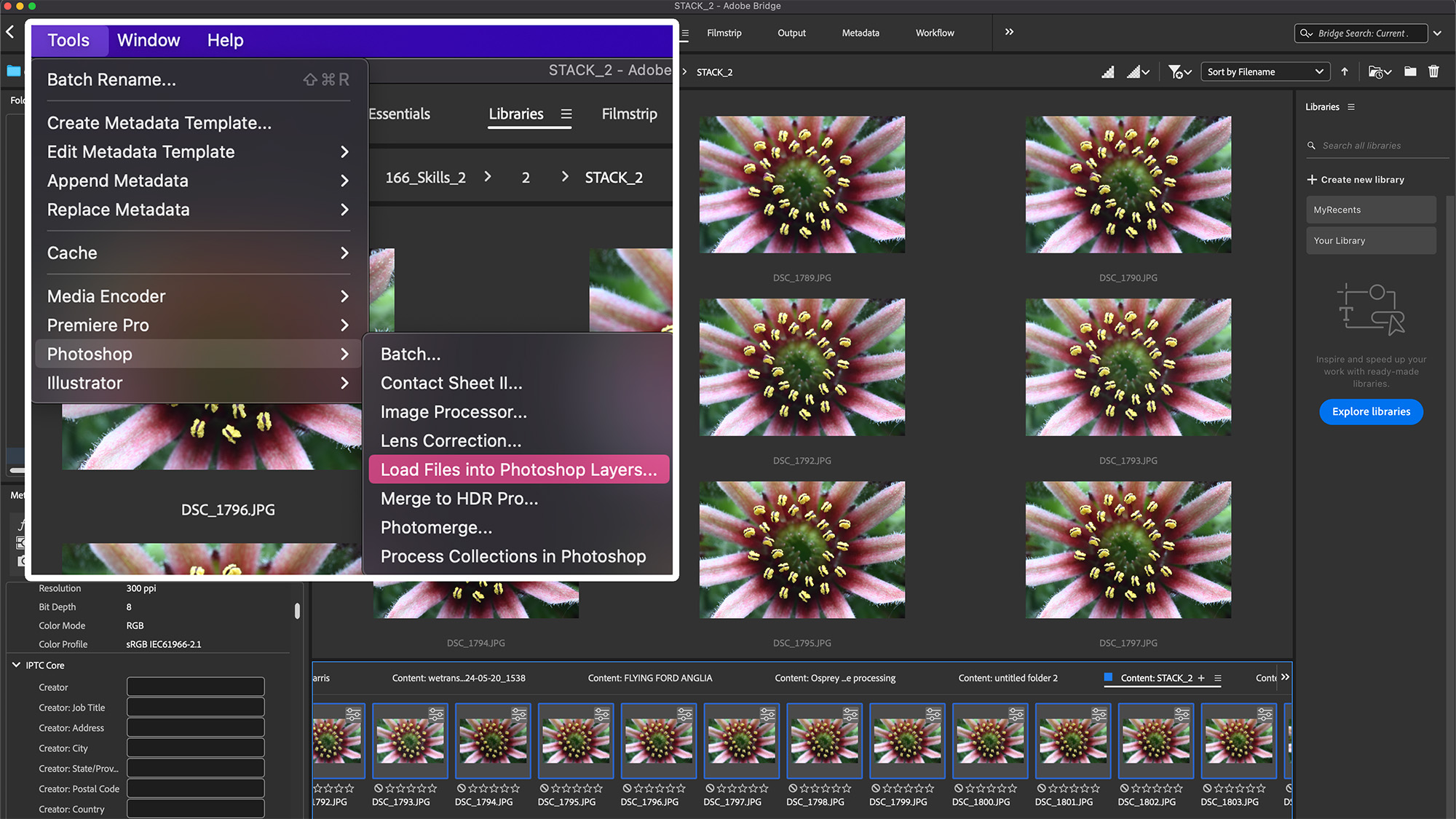 Adobe Bridge screenshot