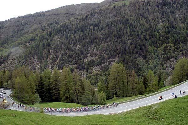 Spot the rider