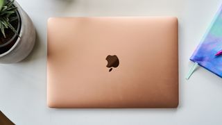 The Apple MacBook Air (2020)