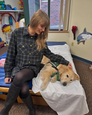 Taylor Swift pets a service dog