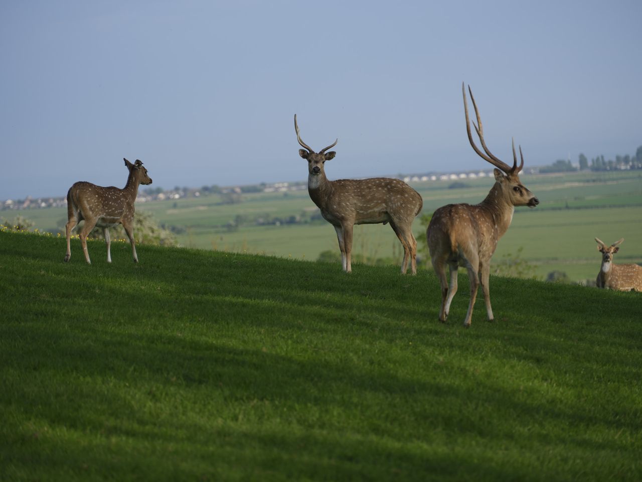 Wildlife photos taken with the Fujifilm GFX100S II