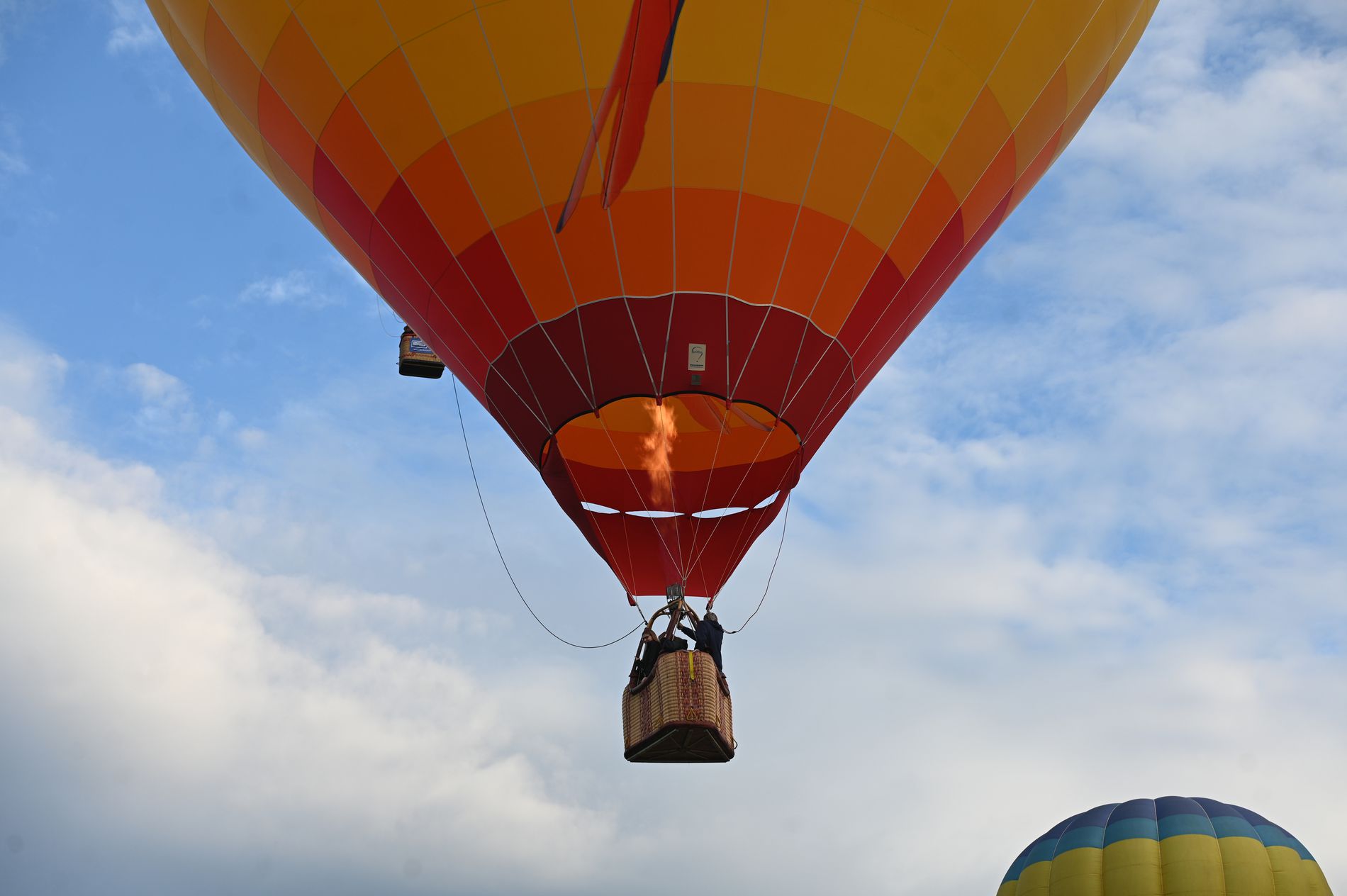 GuruShots - February 2026