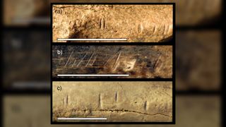 Three pictures of animal bone fossils from the same region and time as the newly analyzed tibia show similar cut marks.