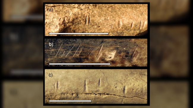 Scientists Discover What Could Be The Oldest Evidence Of Cannibalism ...