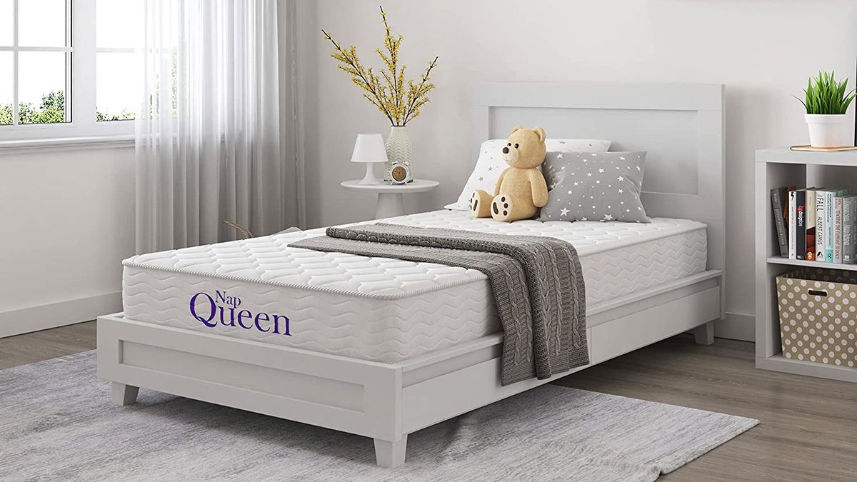 Best twin mattress under 100 in 2022 Pet Arenas