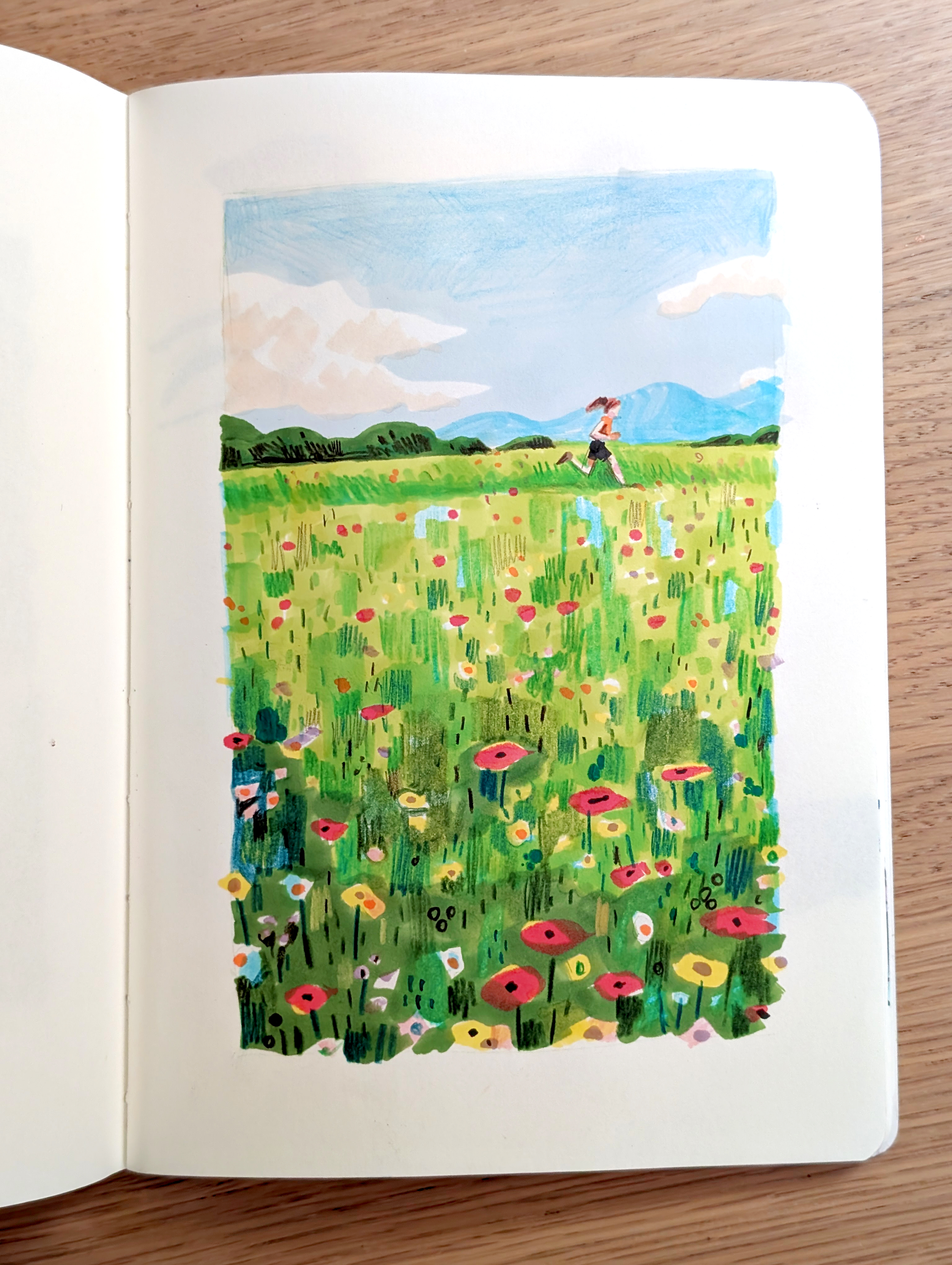 Artist sketchbook; a watercolour painting of a poppy field