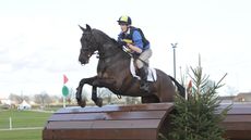 event horse